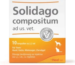 Solidago Compositum 10 Ampullen vet.