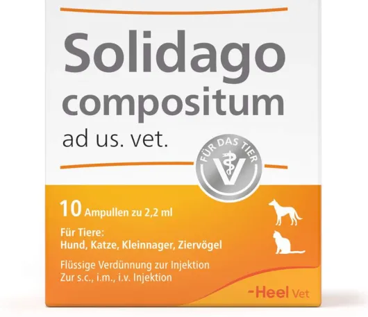 Solidago Compositum 10 Ampullen vet.