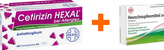 Sparset Allergie Cetirizin Hexal 100 Filmtabletten bei Allergien + DHU Heuschnupfenmittel 100 Tabletten