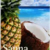 Spitzner Saunaaufguss Ananas-Kokos Wellness 190 ml