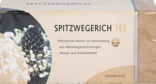 Spitzwegerichtee Filterbeutel