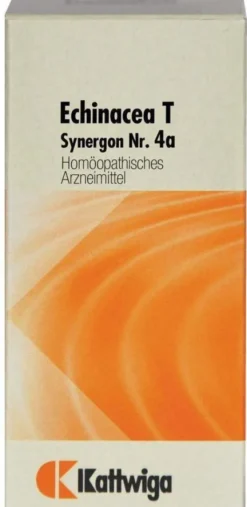 Synergon 4 A Echinacea T 100 Tabletten