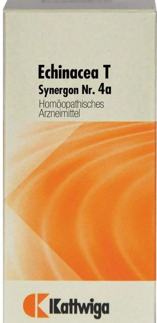Synergon 4 A Echinacea T 100 Tabletten