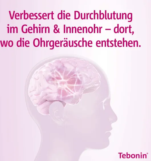 Tebonin intens 120 mg 120 Filmtabletten