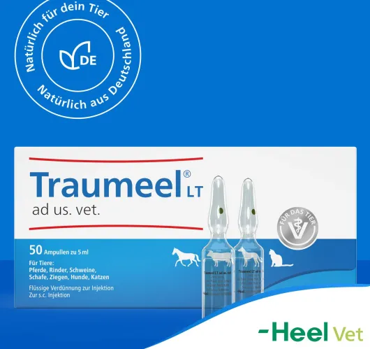 Traumeel Lt vet. 50 X 5 ml Ampullen