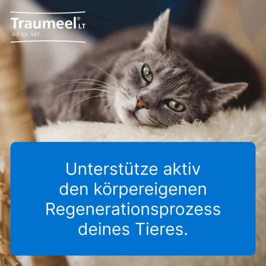 Traumeel Lt vet. 50 X 5 ml Ampullen
