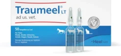 Traumeel Lt vet. 50 X 5 ml Ampullen