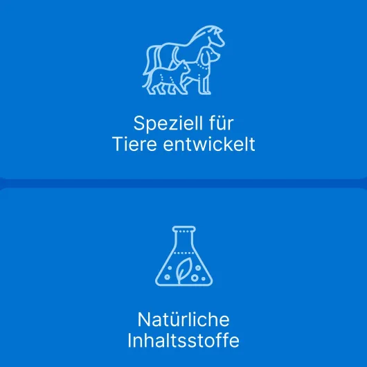 Traumeel Lt vet. 50 X 5 ml Ampullen