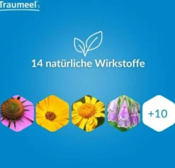 Traumeel S Tropfen 30ml