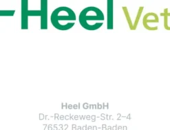 Traumeel T Vet. 250 Tabletten