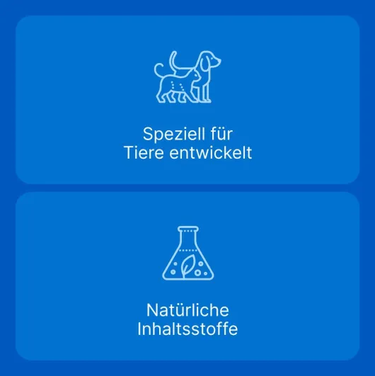 Traumeel T Vet. 250 Tabletten