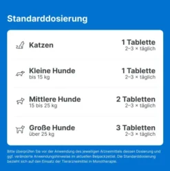 Traumeel T Vet. 250 Tabletten