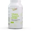 Tribulus Terrestris Extrakt 500 mg Kapseln