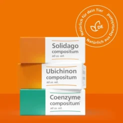 Ubichinon Compositum ad us.vet. 100 Ampullen