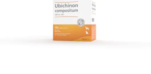 Ubichinon Compositum ad us.vet. 100 Ampullen