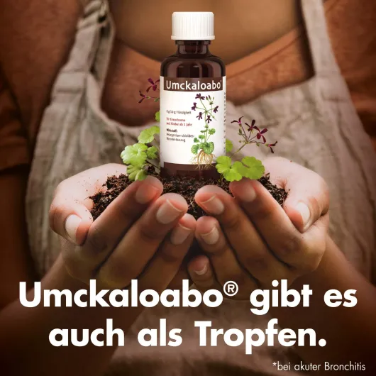 Umckaloabo 20 mg 15 Filmtabletten