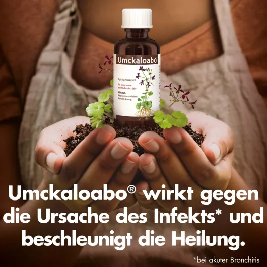 Umckaloabo Tropfen 50 ml