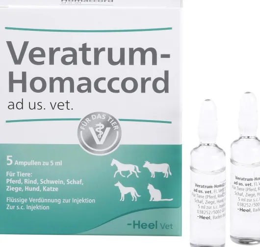 Veratrum Homaccord Ad Us. vet. 5 Ampullen