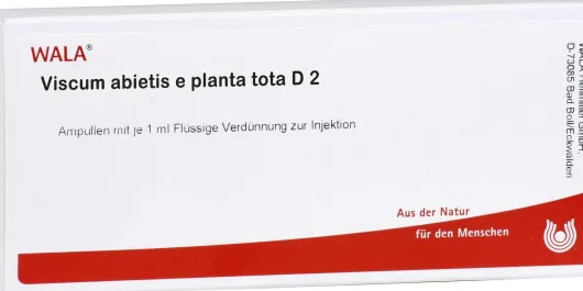 Viscum Abietis E Planta Tota D 2 Ampullen