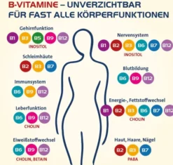 Vitamin B complete Hevert all-in-one 120 Kapseln
