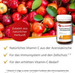 Vitamin C + Bioflavonoide Dr.Wolz Pulver