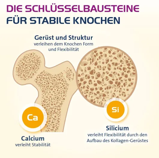 Vitamin D3 Hevert Osteo Pro 60 Filmtabletten