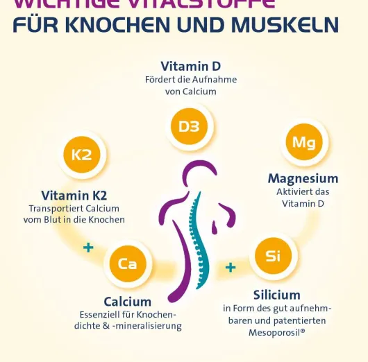 Vitamin D3 Hevert Osteo Pro 60 Filmtabletten