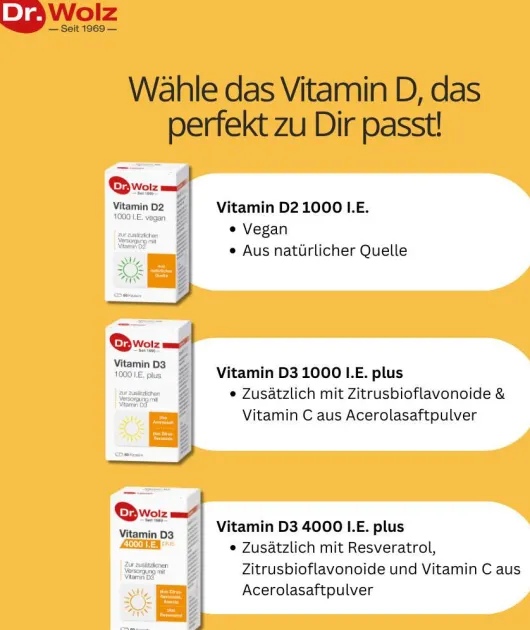 Vitamin D2 1000 I.E. Vegan 60 Kapseln