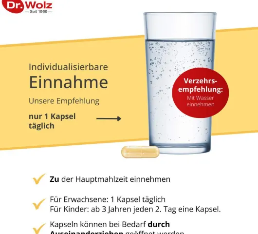 Vitamin D2 1000 I.E. Vegan 60 Kapseln