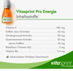 Vitasprint Pro Energie 24 Fläschchen