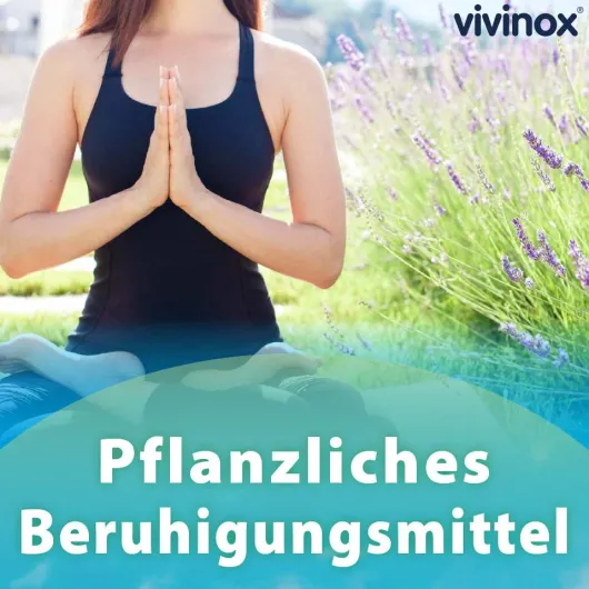 Vivinox Nervenruhe Beruhigungsdragees 100 Stück