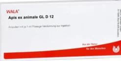 Wala Apis Ex Animale Gl D12 10 X 1 ml Ampullen