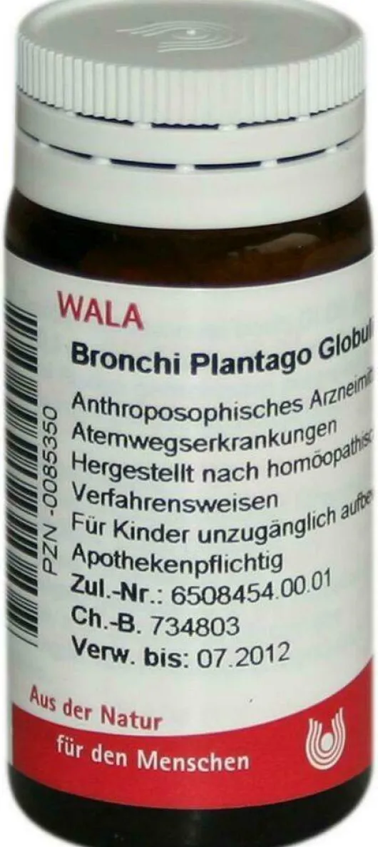 Wala Bronchi Plantago Velati 20 G Globuli