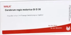 Wala Cerebrum Regio Motorica Gl D30 10 X 1 ml Ampullen