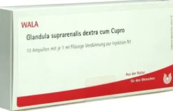 Wala Glandula Suprarenalis Dextra Cum Cupro 10 X 1 ml Ampullen