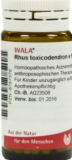 Wala Rhus Toxicondendron E Foliis D6 20 G Globuli