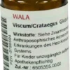 Wala Viscum Crataegus 20 G Globuli