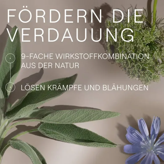 Weleda Amara Tropfen 50 ml