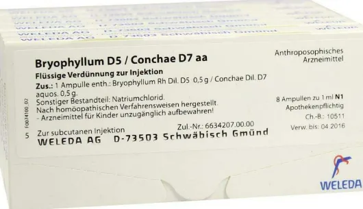 Weleda Bryophyllum D5 - Conchae D7 Aa 48 X 1 ml Ampullen
