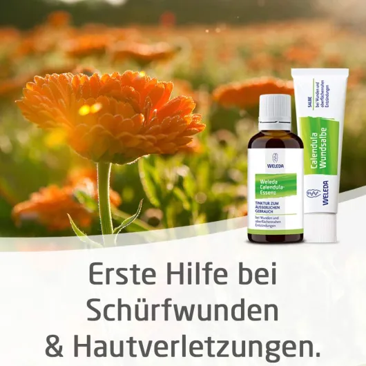 Weleda Calendula Wundsalbe 70 g