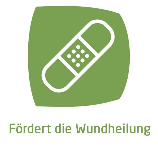 Weleda Calendula Wundsalbe 70 g
