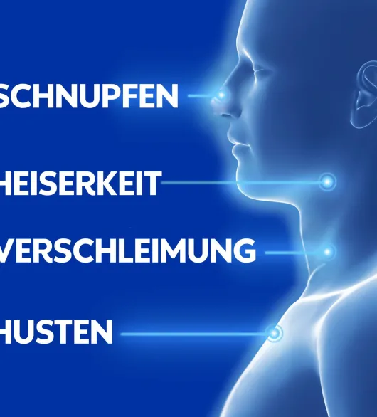 WICK VapoRub Erkältungssalbe 25 g