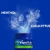 WICK VapoRub Erkältungssalbe 100 g