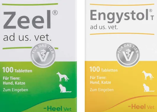 Zeel ad us. vet. 100 Tabletten + Engystol T ad us. vet. 100 Tabletten