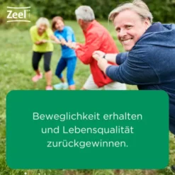Zeel comp N 250 Tabletten