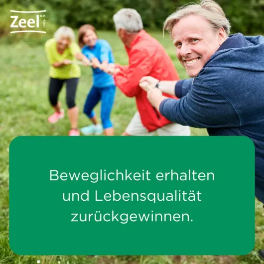 Zeel comp N 250 Tabletten