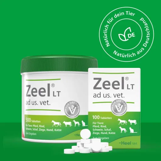 Zeel Lt Ad Us.Vet. 500 Tabletten