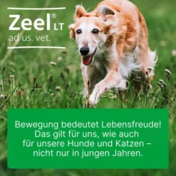Zeel Lt Ad Us.Vet. 100 Tabletten
