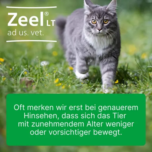 Zeel Lt Ad Us.Vet. 100 Tabletten