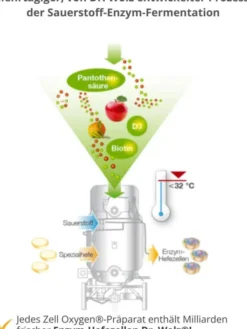 Zell Oxygen Formula Trinkampullen
